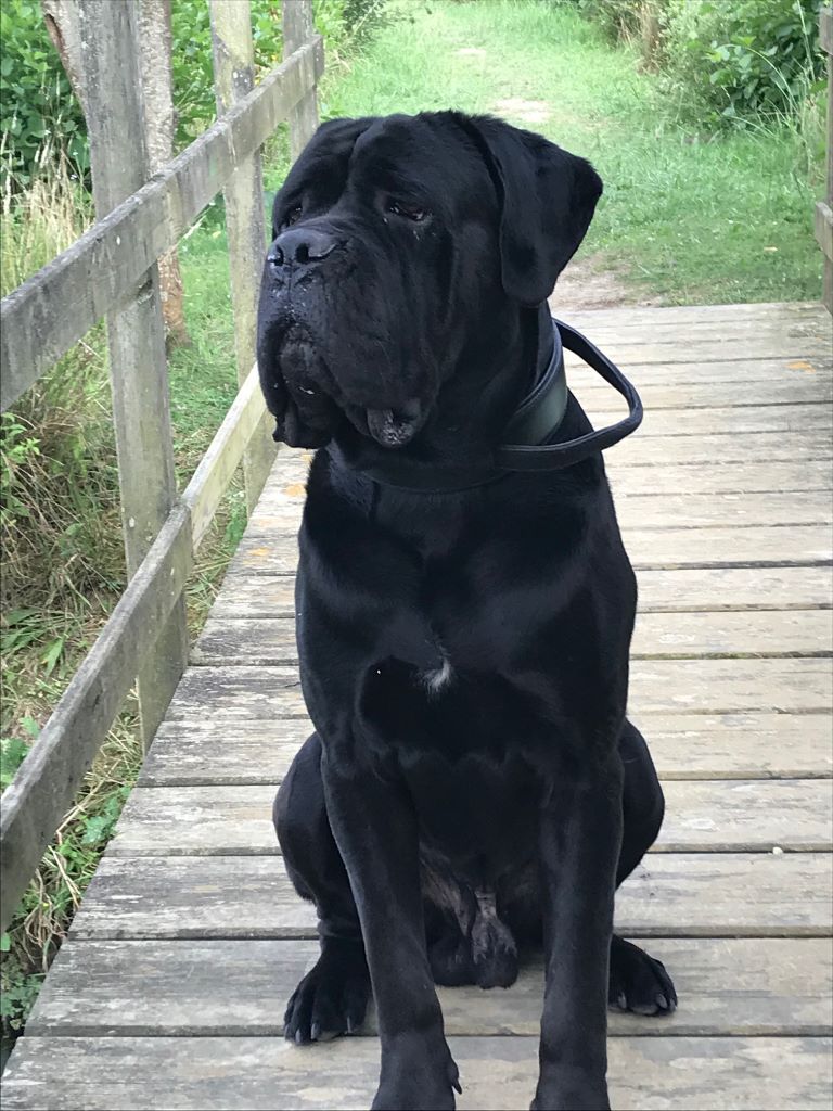 I'am kaiser Des Sentinelles De Tizzano