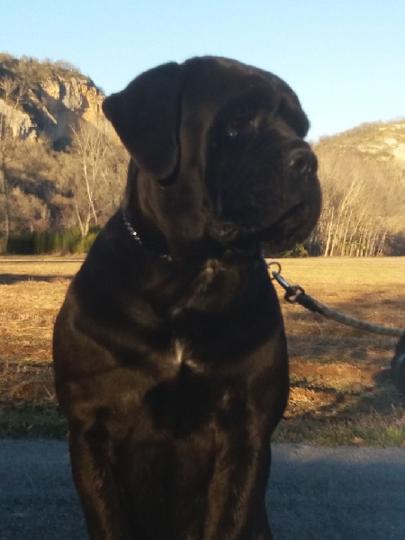 Heaven Des Sentinelles De Tizzano